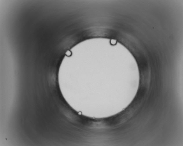 X0000115510309200911061008