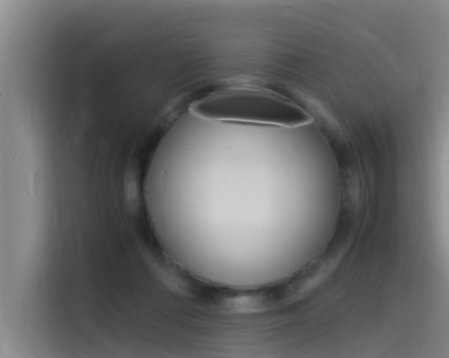 X0000115510312200911061008