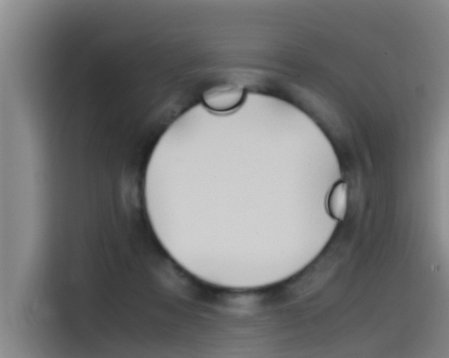 X0000115510313200911061008