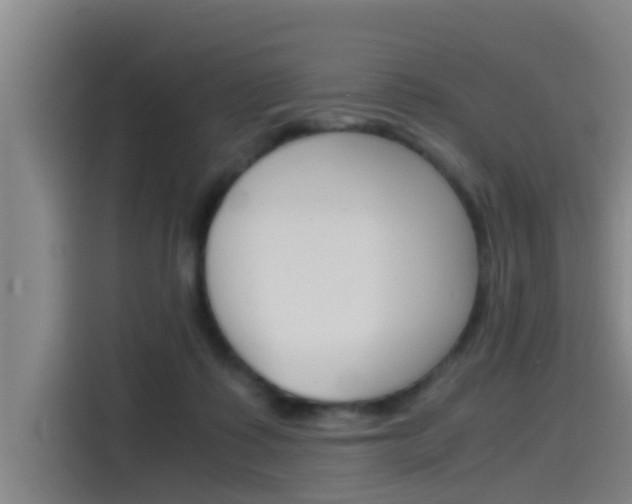 X0000115510315200911061008