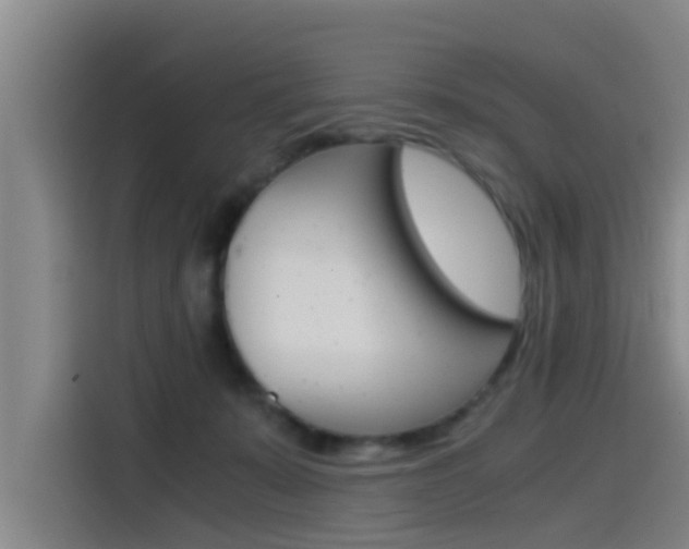 X0000115510319200911061008
