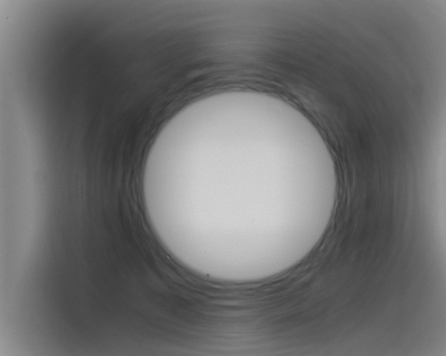 X0000115510323200911061008