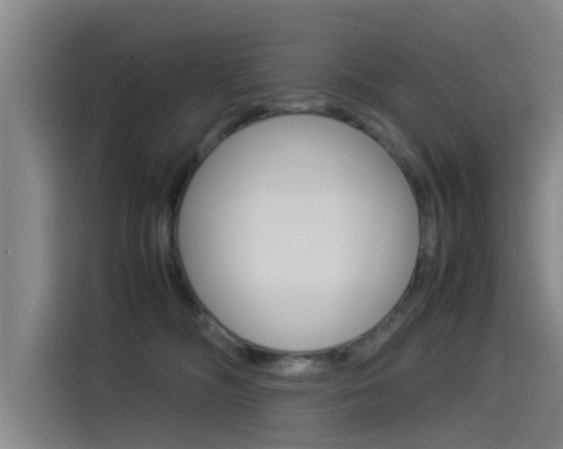 X0000115510326200911061008