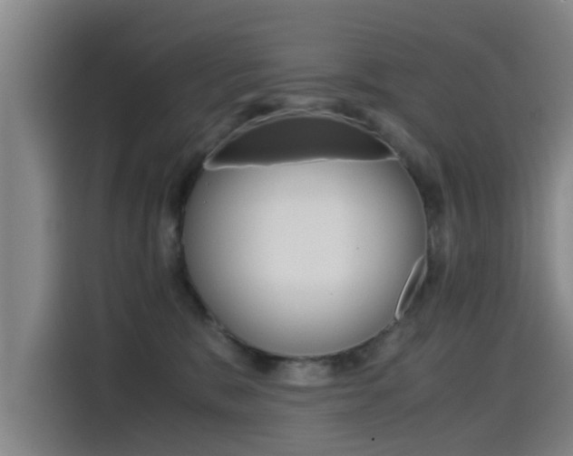 X0000115510327200911061008