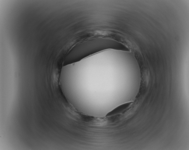 X0000115510328200911061008