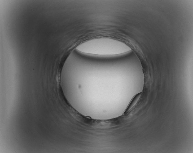 X0000115510329200911061008