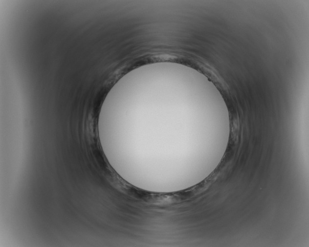 X0000115510330200911061008