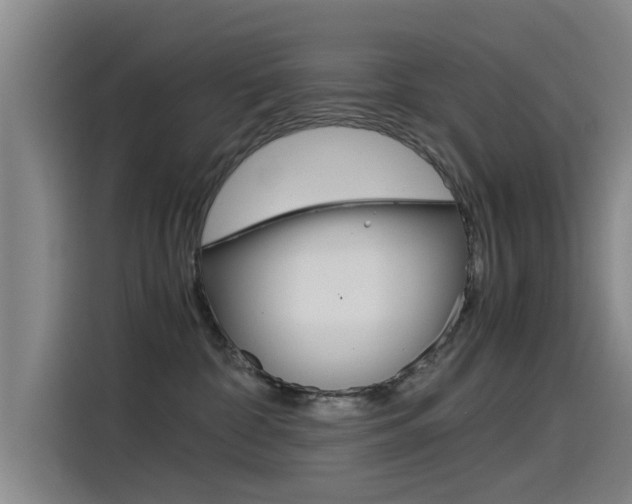 X0000115510332200911061008