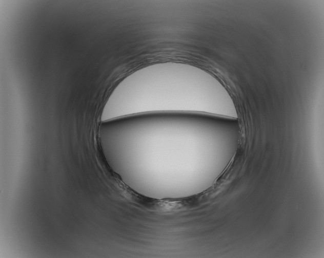 X0000115510333200911061008