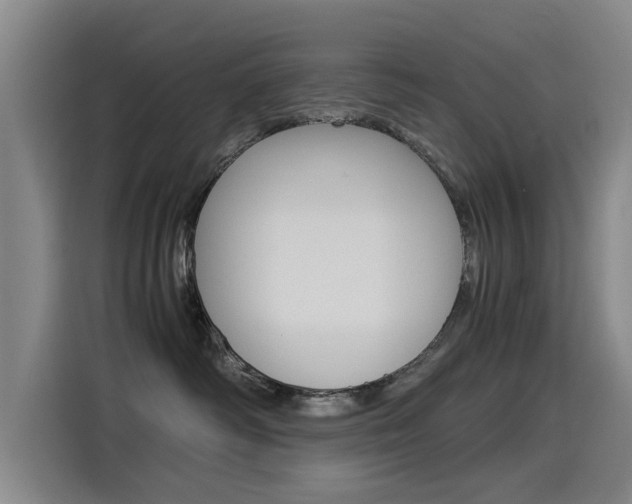 X0000115510334200911061008