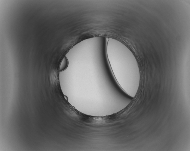 X0000115510335200911061008