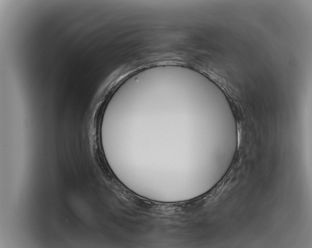X0000115510339200911061007