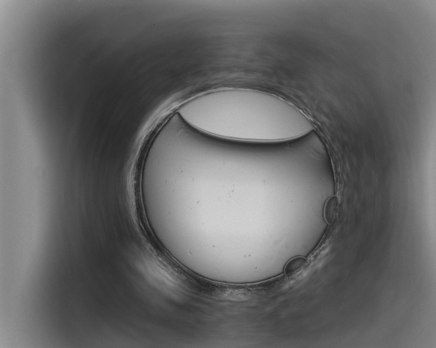 X0000115510341200911061007