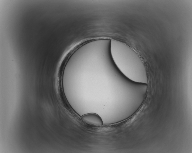 X0000115510342200911061007