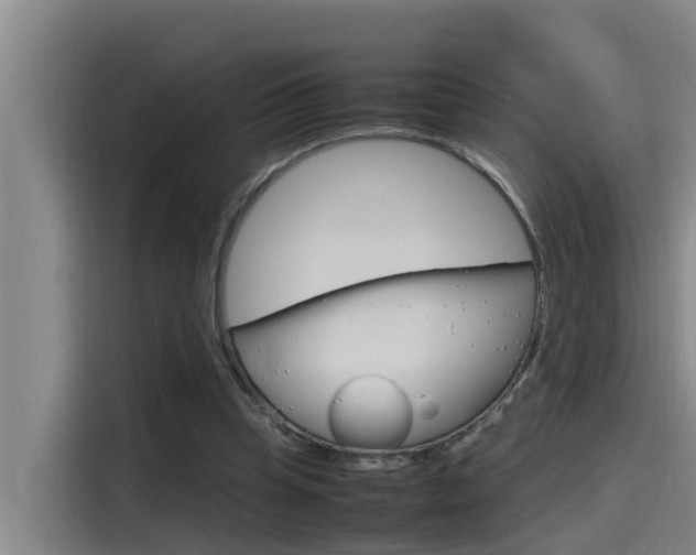 X0000115510345200911061007