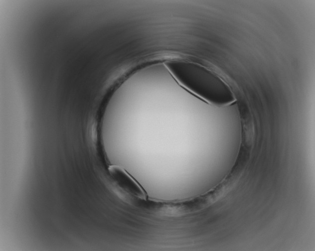 X0000115510350200911061007