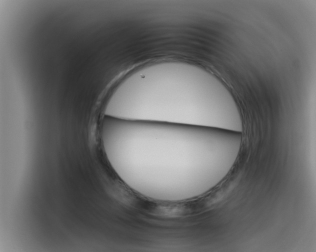 X0000115510351200911061007