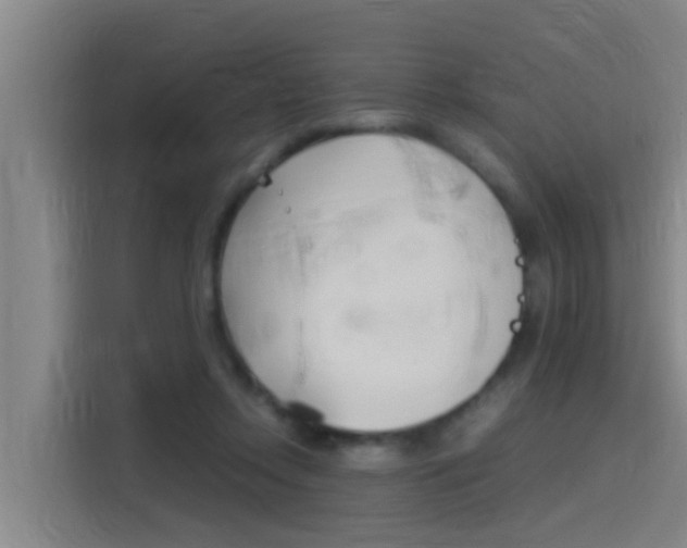 X0000115510358200911061008