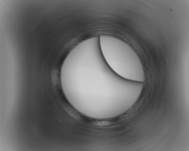 X0000115510361200911061008