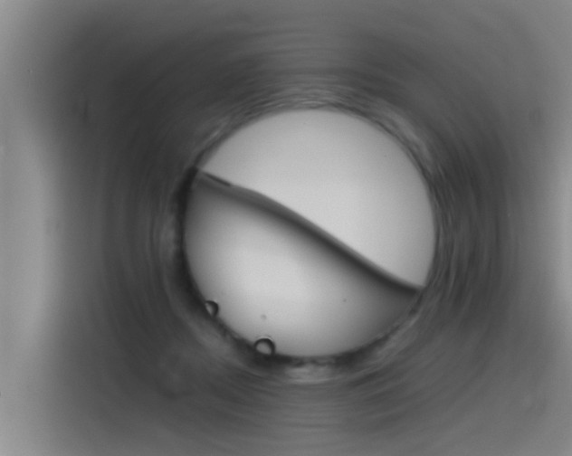 X0000115510362200911061008