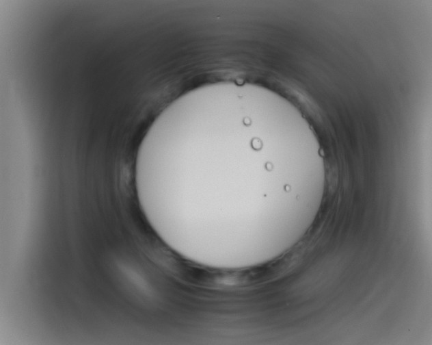 X0000115510365200911061008