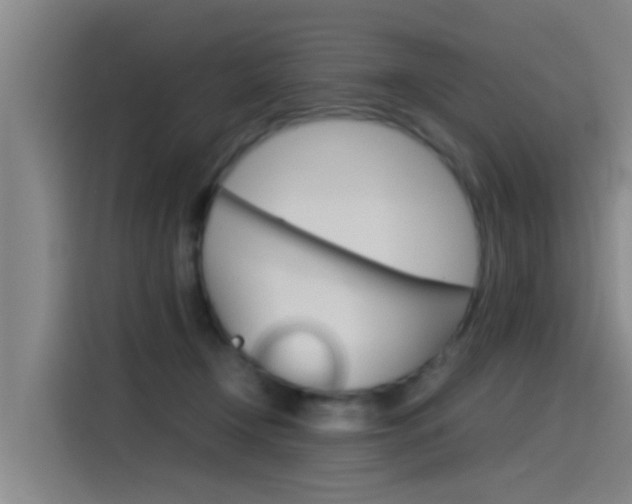 X0000115510366200911061008
