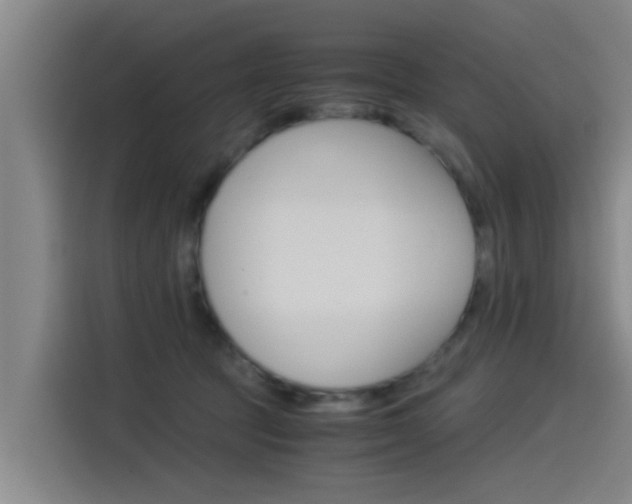 X0000115510369200911061008