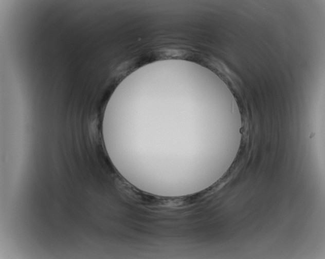 X0000115510377200911061008
