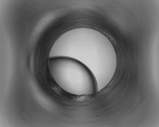 X0000115510382200911061008