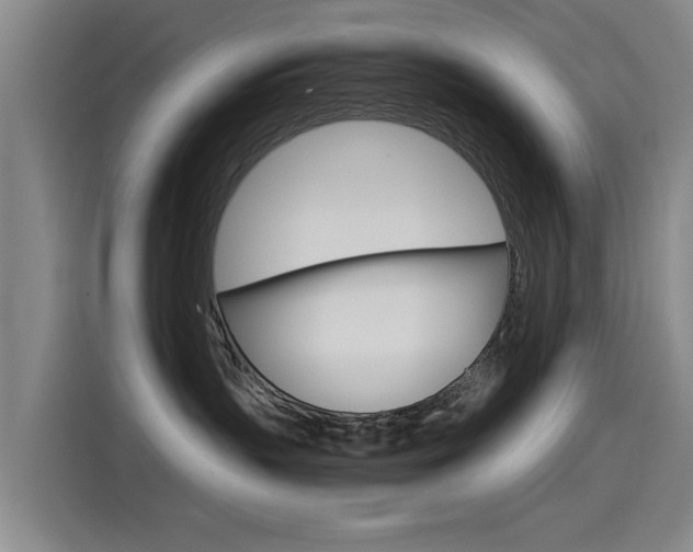 X0000115510383200911061008