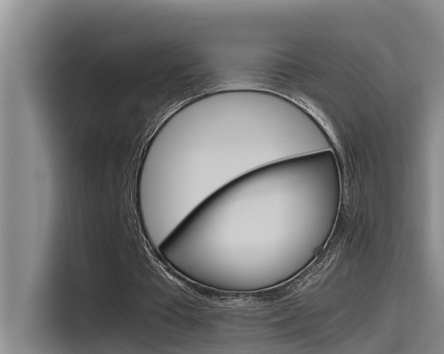 X0000115510385200911061007