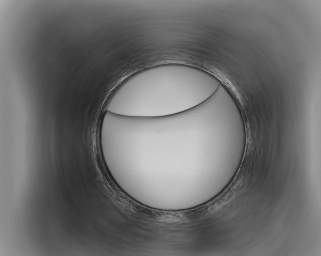 X0000115510386200911061007