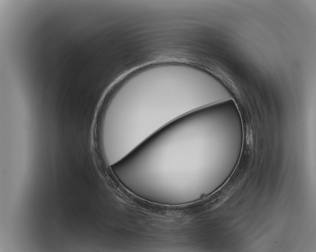 X0000115510388200911061007