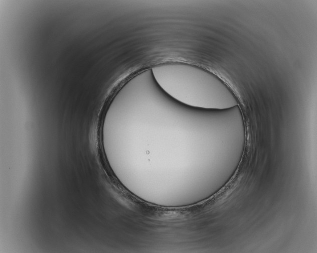 X0000115510390200911061007