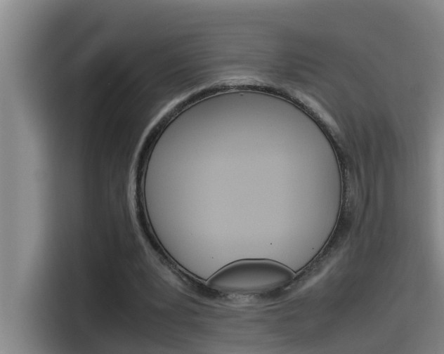 X0000115510391200911061007