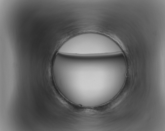 X0000115510393200911061007