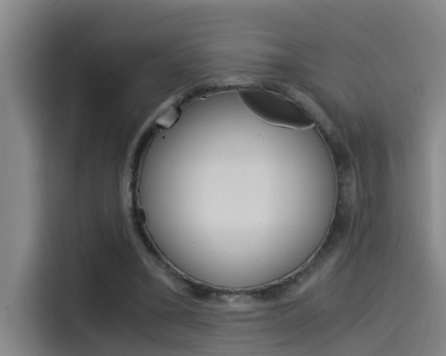 X0000115510395200911061007