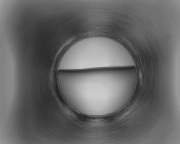X0000115510396200911061007