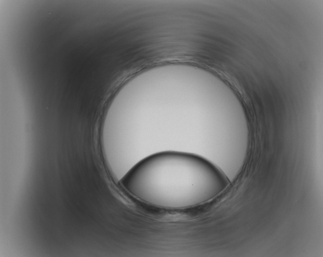 X0000115510397200911061007