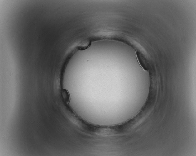 X0000115510399200911061007