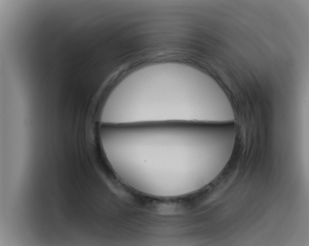 X0000115510400200911061007