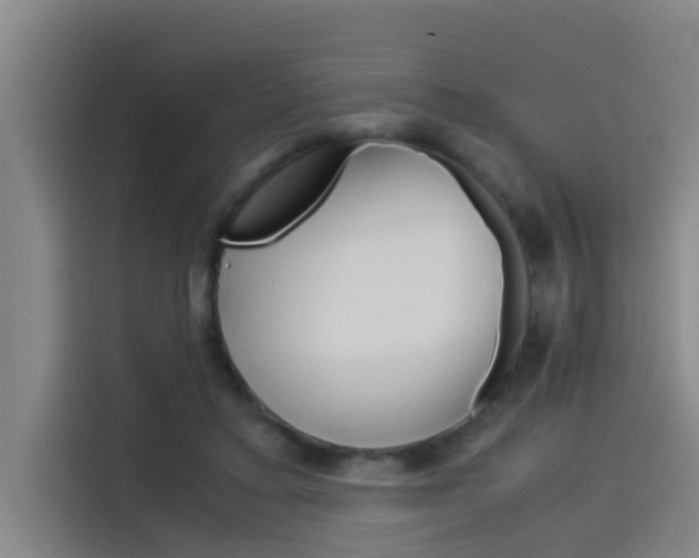 X0000115510403200911061007