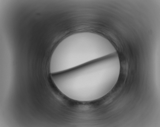 X0000115510404200911061007