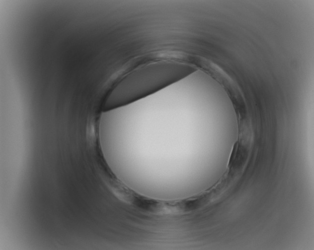 X0000115510405200911061007