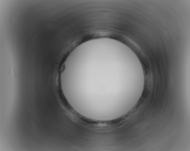 X0000115510406200911061007
