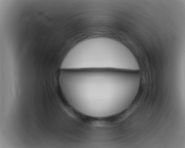 X0000115510408200911061007