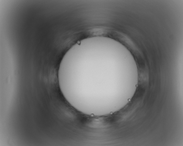 X0000115510411200911061007