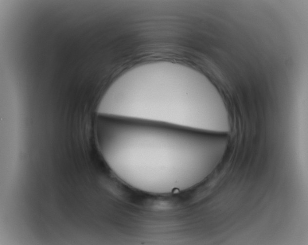 X0000115510412200911061007