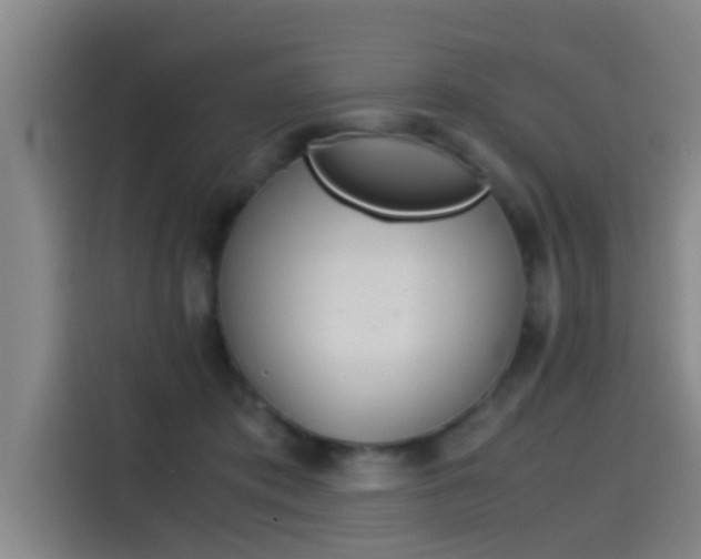X0000115510413200911061007