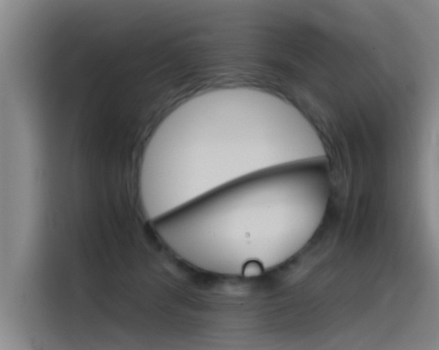 X0000115510416200911061007